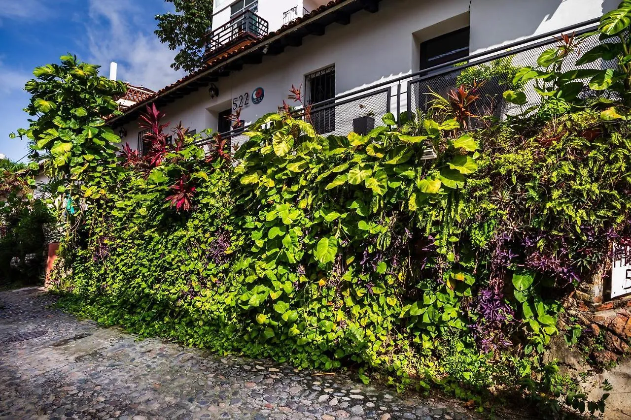 *****  Hotel 522, Puerto Vallarta Mexico